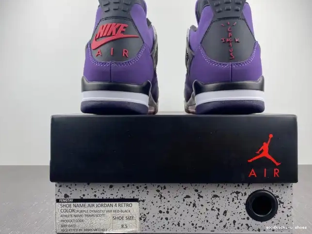 Scott LN4 (Friends and Jordan 4 766296 Retro Family) Purple Travis 0506